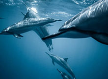 世界杯直播下载-不吃回头草？勒夫：不会撤回拒召穆勒三人的决定